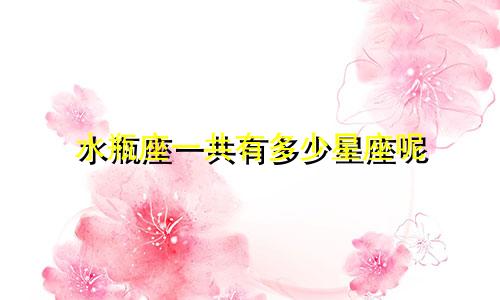 水瓶座一共有多少星座呢