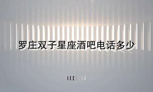 罗庄双子星座酒吧电话多少