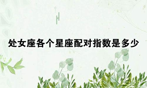 处女座各个星座配对指数是多少