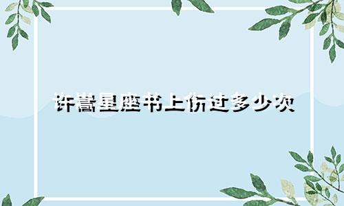 许嵩星座书上伤过多少次