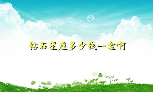 钻石星座多少钱一盒啊