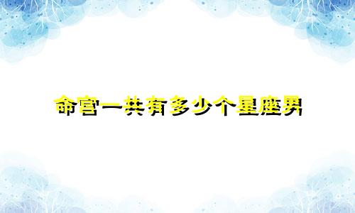 命宫一共有多少个星座男