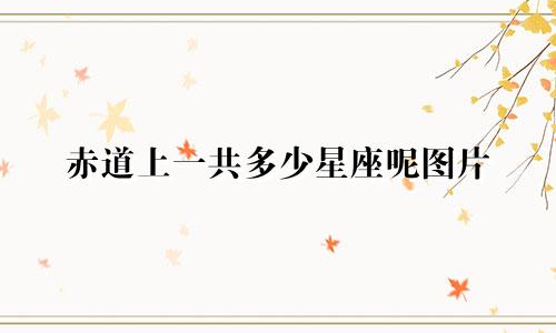 赤道上一共多少星座呢图片