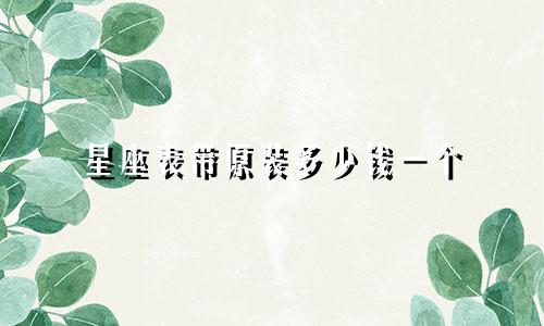 星座表带原装多少钱一个