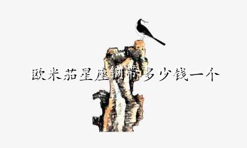 欧米茄星座钢带多少钱一个