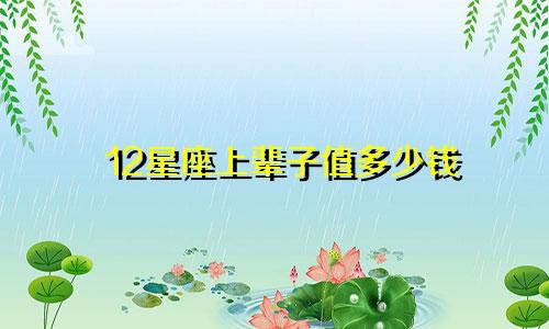 12星座上辈子值多少钱