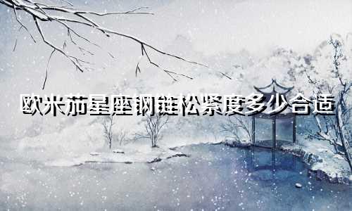 欧米茄星座钢链松紧度多少合适