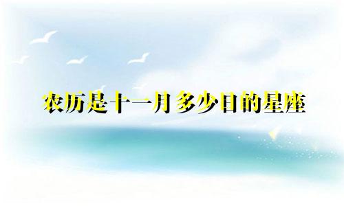 农历是十一月多少日的星座