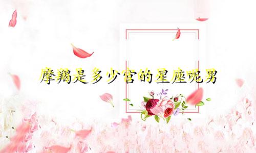 摩羯是多少宫的星座呢男