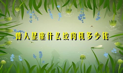 兽人星座什么绞肉机多少钱