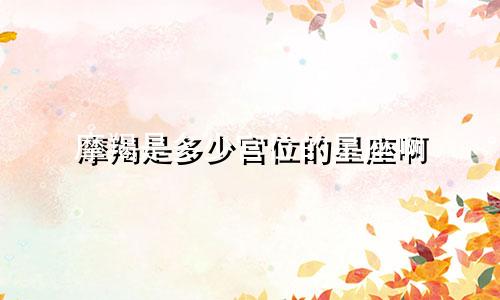 摩羯是多少宫位的星座啊