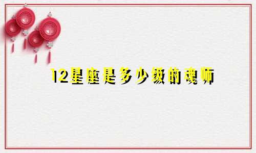12星座是多少级的魂师