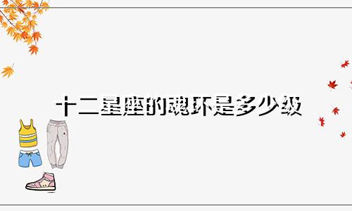 十二星座的魂环是多少级