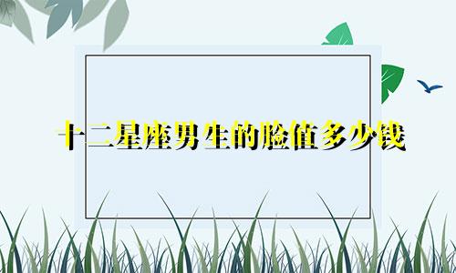 十二星座男生的脸值多少钱