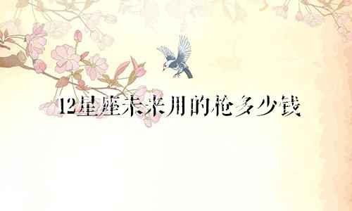 12星座未来用的枪多少钱