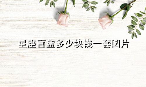 星座盲盒多少块钱一套图片