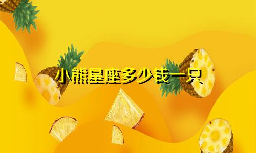 小熊星座多少钱一只