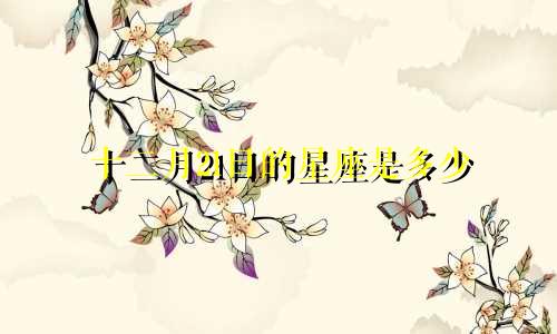十二月21日的星座是多少