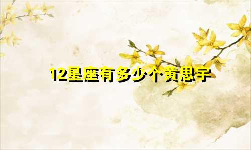 12星座有多少个黄思宇