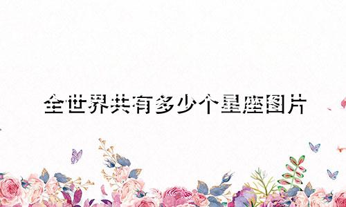 全世界共有多少个星座图片