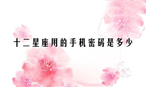 十二星座用的手机密码是多少
