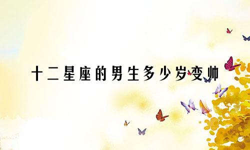 十二星座的男生多少岁变帅