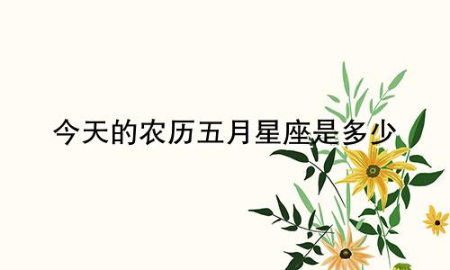 今天的农历五月星座是多少
