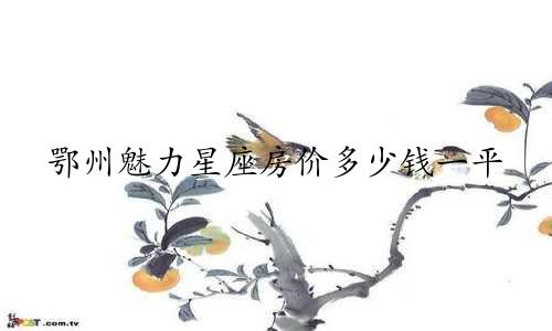 鄂州魅力星座房价多少钱一平