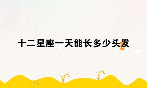 十二星座一天能长多少头发