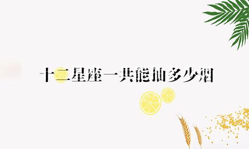 十二星座一共能抽多少烟