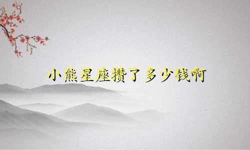 小熊星座攒了多少钱啊