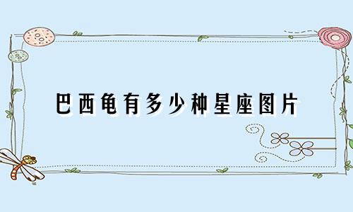 巴西龟有多少种星座图片