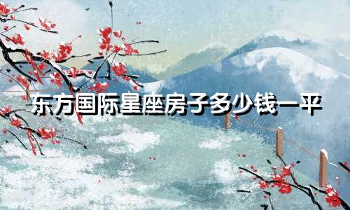 东方国际星座房子多少钱一平