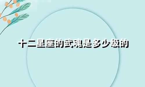 十二星座的武魂是多少级的