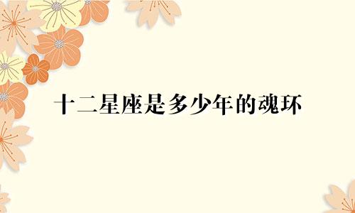 十二星座是多少年的魂环