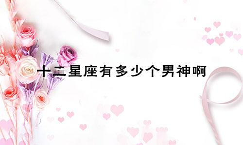 十二星座有多少个男神啊