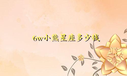 6w小熊星座多少钱