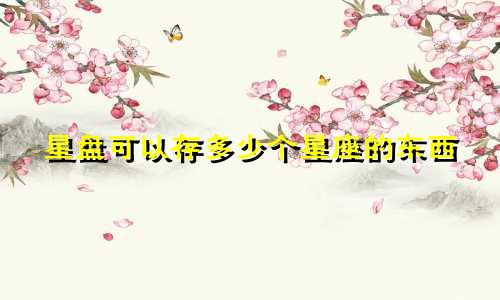 星盘可以存多少个星座的东西