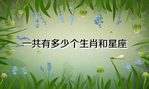 一共有多少个生肖和星座