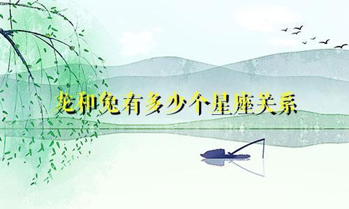 龙和兔有多少个星座关系