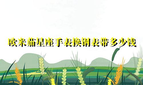 欧米茄星座手表换钢表带多少钱