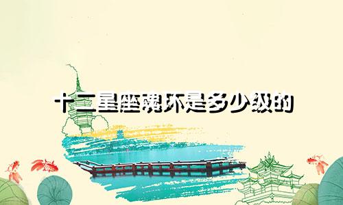 十二星座魂环是多少级的