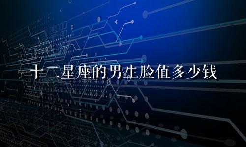 十二星座的男生脸值多少钱