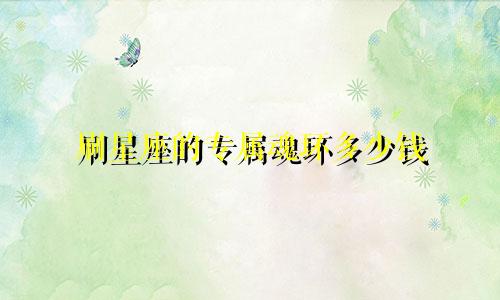 刷星座的专属魂环多少钱