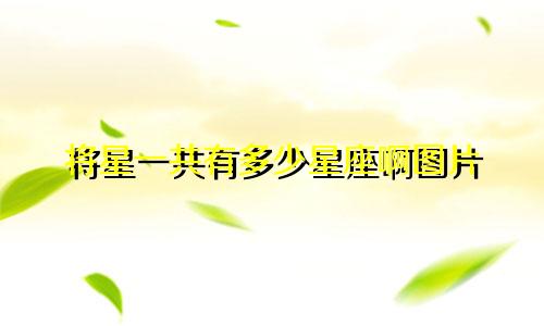 将星一共有多少星座啊图片