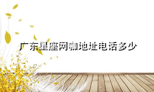 广东星座网咖地址电话多少