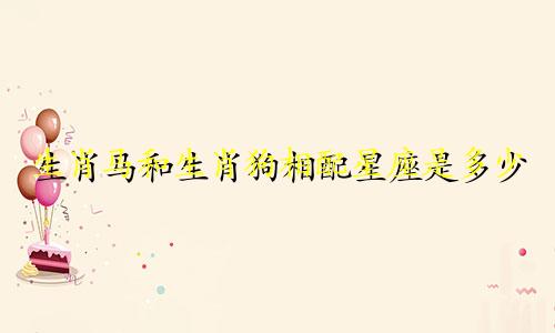 生肖马和生肖狗相配星座是多少