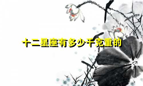 十二星座有多少千克重的