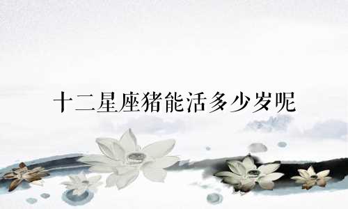 十二星座猪能活多少岁呢
