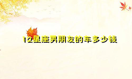12星座男朋友的车多少钱
